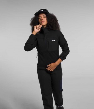 Black The North Face Canyonlands High Altitude Hoodie Women's Fleece Jacket | MALAYSIA QKFDMX