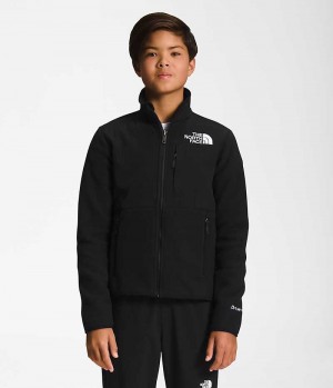 Black The North Face Denali Boys' Fleece Jacket | MALAYSIA LZTDQN