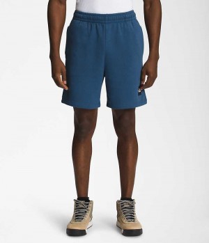 Blue The North Face Box NSE Men's Shorts | MALAYSIA OWKLUZ