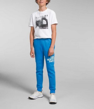 Blue The North Face Camp Fleece Boys' Jogger | MALAYSIA LXETKW