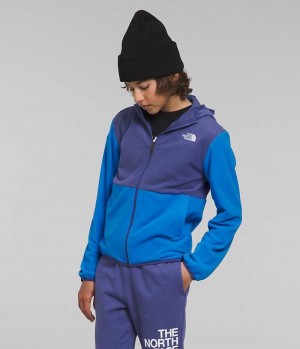 Blue The North Face Glacier Full-Zip Hooded Boys' Fleece Jacket | MALAYSIA JIUOEA