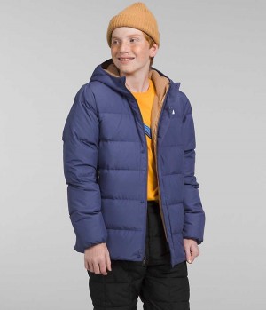 Blue The North Face North Down Fleece-Lined Boys' Coat | MALAYSIA MPJIZE