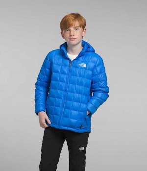 Blue The North Face ThermoBall™ Hooded Boys' Puffer Jacket | MALAYSIA OKCEXB