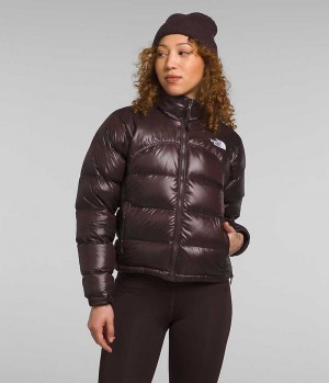 Brown The North Face 2000 Retro Nuptse Women's Puffer Jacket | MALAYSIA VYZLBM