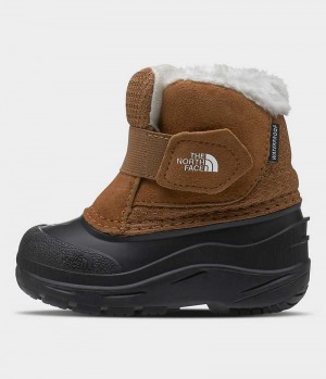 Brown The North Face Alpenglow II Boys' Winter Boots | MALAYSIA XVSQIK