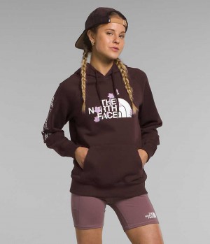 Brown The North Face Brand Proud Women's Hoodie | MALAYSIA PTHLJV