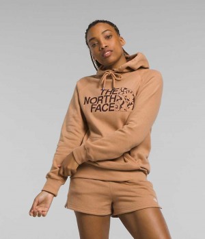 Brown The North Face Half Dome Pullover Women's Hoodie | MALAYSIA JQONZK