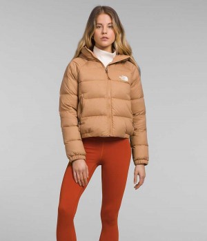 Brown The North Face Hydrenalite™ Women's Puffer Jacket | MALAYSIA TIOMFR