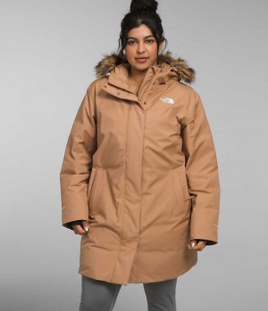 Brown The North Face Plus Arctic Women's Coat | MALAYSIA NZBUKO