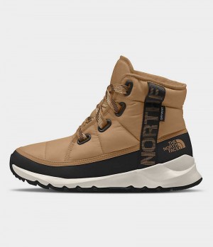 Brown The North Face ThermoBall™ Lace Up Luxe Waterproof Women's Winter Boots | MALAYSIA BDFVIS