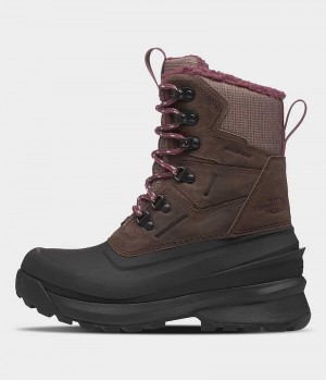 Brown / Black The North Face Chilkat V 400 Waterproof Women's Winter Boots | MALAYSIA ROMQKP