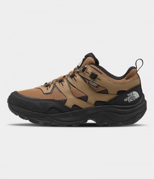 Brown / Black The North Face Hedgehog 3 Waterproof Men's Hiking Shoes | MALAYSIA AYFXLI