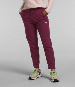 Burgundy The North Face Alpine Polartec® 100 Women's Fleece Pants | MALAYSIA SLPKYJ