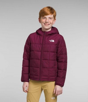 Burgundy The North Face Lhotse Boys' Puffer Jacket | MALAYSIA YCSIAO