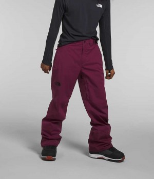 Fuchsia The North Face Freedom Stretch Men's Pants | MALAYSIA DJKLVW