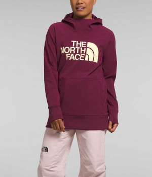 Fuchsia The North Face Tekno Pullover Women's Hoodie | MALAYSIA EAOBQI