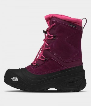 Fuchsia / Black The North Face Alpenglow V Waterproof Boys' Winter Boots | MALAYSIA LKISND