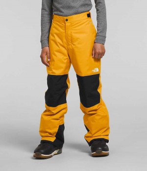 Gold The North Face Freedom Boys' Insulated Pants | MALAYSIA TYVHNA