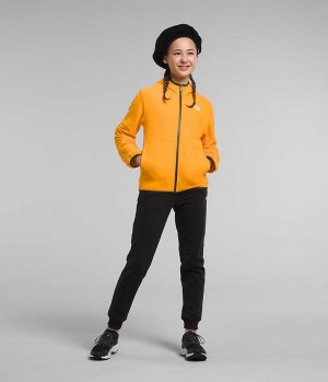 Gold The North Face Glacier Full-Zip Hooded Girls' Fleece Jacket | MALAYSIA QZTBJR