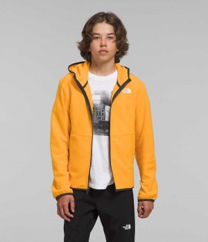 Gold The North Face Glacier Full-Zip Hooded Boys' Fleece Jacket | MALAYSIA SJXVKE