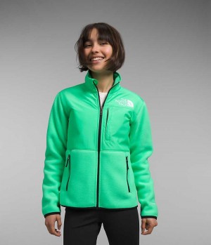 Green The North Face Denali Girls' Fleece Jacket | MALAYSIA CEJQHR