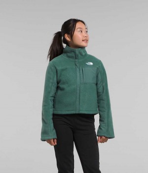 Green The North Face Fleece Mashup Girls' Fleece Jacket | MALAYSIA BRYVML