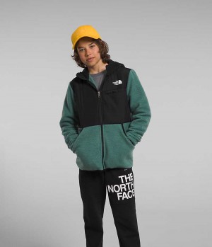 Green The North Face Forrest Full-Zip Hooded Boys' Fleece Jacket | MALAYSIA UJXVRD