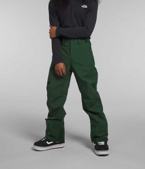 Green The North Face Freedom Men's Pants | MALAYSIA BEYGML