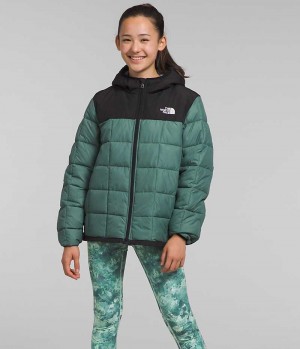 Green The North Face Lhotse Girls' Puffer Jacket | MALAYSIA QNSYIL