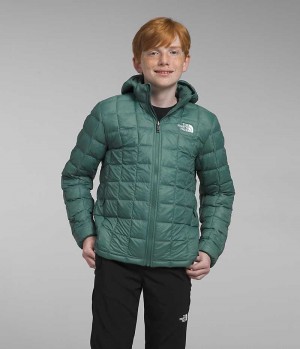 Green The North Face ThermoBall™ Hooded Boys' Puffer Jacket | MALAYSIA VFTGLZ