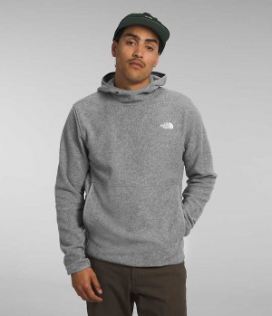 Grey The North Face Alpine Polartec® 100 Men's Pullover | MALAYSIA PYFMTI