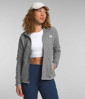 Grey The North Face Alpine Polartec® 100 Women's Fleece Jacket | MALAYSIA EQUJVF