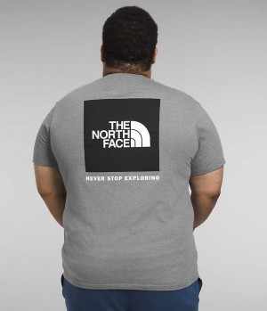 Grey The North Face Big Short Sleeve Box NSE Men's T-Shirt | MALAYSIA TXQRNW