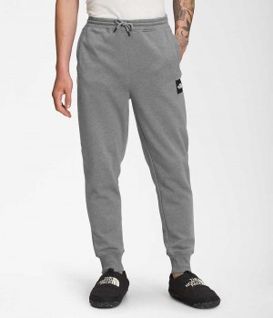 Grey The North Face Box NSE Men's Jogger | MALAYSIA BNLVEQ