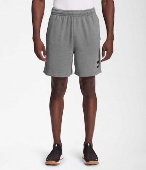 Grey The North Face Box NSE Men's Shorts | MALAYSIA MISYRK