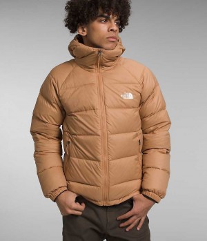 Khaki The North Face Hydrenalite™ Hoodie Men's Puffer Jacket | MALAYSIA HSWRPE