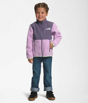 Lavender The North Face Denali Girls' Fleece Jacket | MALAYSIA COWEAI