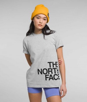 Light Grey The North Face Short Sleeve Brand Proud Women's T-Shirt | MALAYSIA NRBGMJ