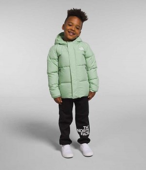 Mint The North Face North Hooded Boys' Puffer Jacket | MALAYSIA ZKHNTU