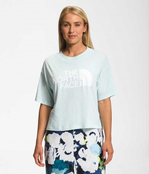 Mint The North Face Short Sleeve Half Dome Crop Women's T-Shirt | MALAYSIA RPLWUS