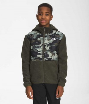 Olive The North Face Forrest Full-Zip Hooded Boys' Fleece Jacket | MALAYSIA NQZFOR