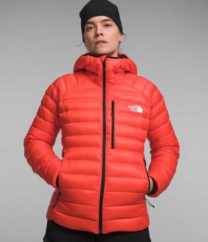 Orange The North Face Summit Series Breithorn Hoodie Women's Puffer Jacket | MALAYSIA ICQWGP