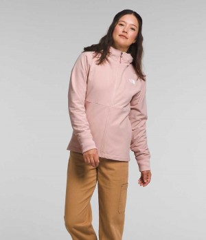 Pink The North Face Shelbe Raschel Hoodie Women's Softshell Jacket | MALAYSIA SMXLTD