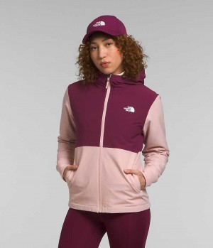 Pink The North Face Shelbe Raschel Hoodie Women's Softshell Jacket | MALAYSIA XEHUGQ