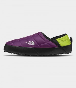 Purple The North Face ThermoBall™ Traction V Women's Mules | MALAYSIA ZPTDKB