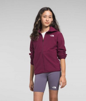 Red The North Face Glacier Full-Zip Hooded Girls' Fleece Jacket | MALAYSIA ISYXVF