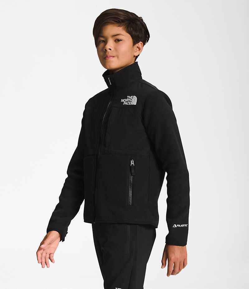 Black The North Face Denali Boys' Fleece Jacket | MALAYSIA LZTDQN