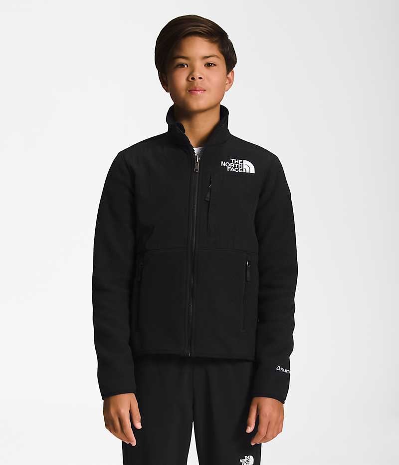 Black The North Face Denali Boys\' Fleece Jacket | MALAYSIA LZTDQN