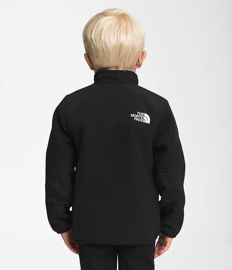 Black The North Face Denali Boys' Fleece Jacket | MALAYSIA WHESJQ