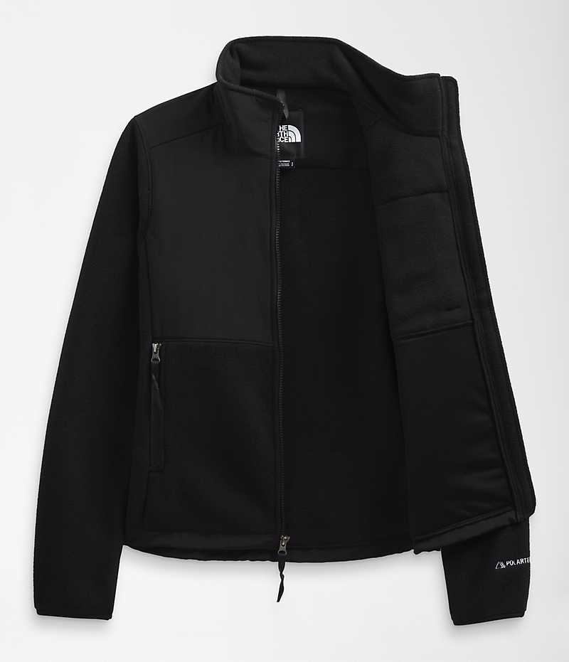 Black The North Face Denali Women's Fleece Jacket | MALAYSIA CKZNTY